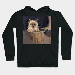 Kitty Sitting Hoodie